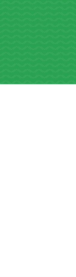 ����Դ�F���t�S��